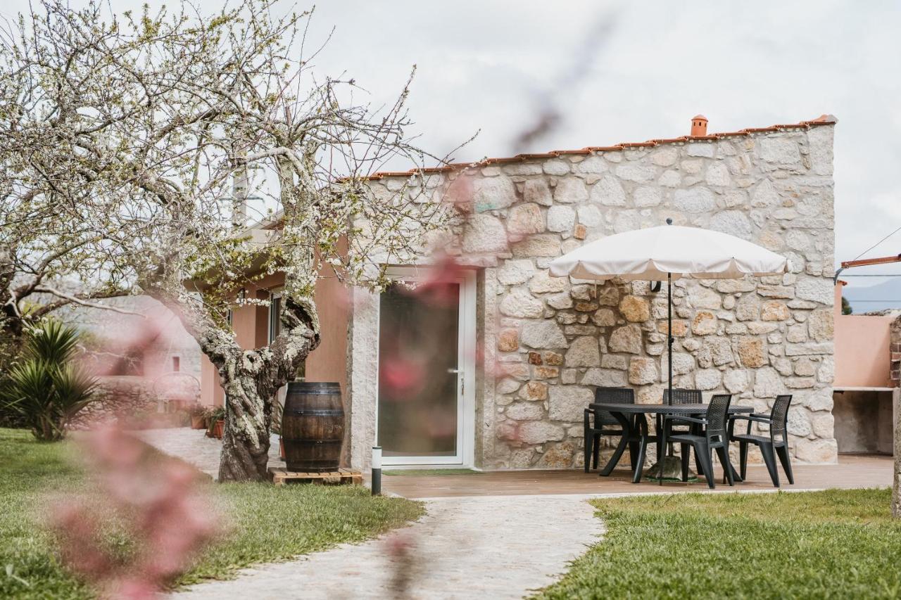 Forno House - Ameixoeira Vila Praia de Âncora Exterior photo